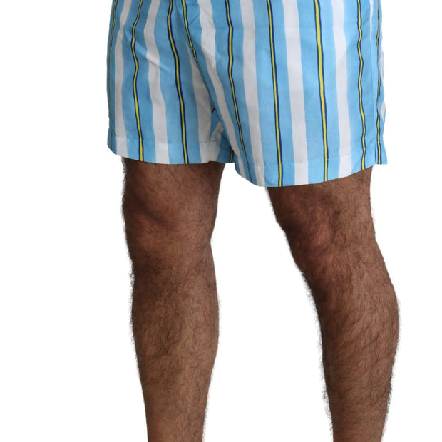 Striped Elegance Swim Shorts