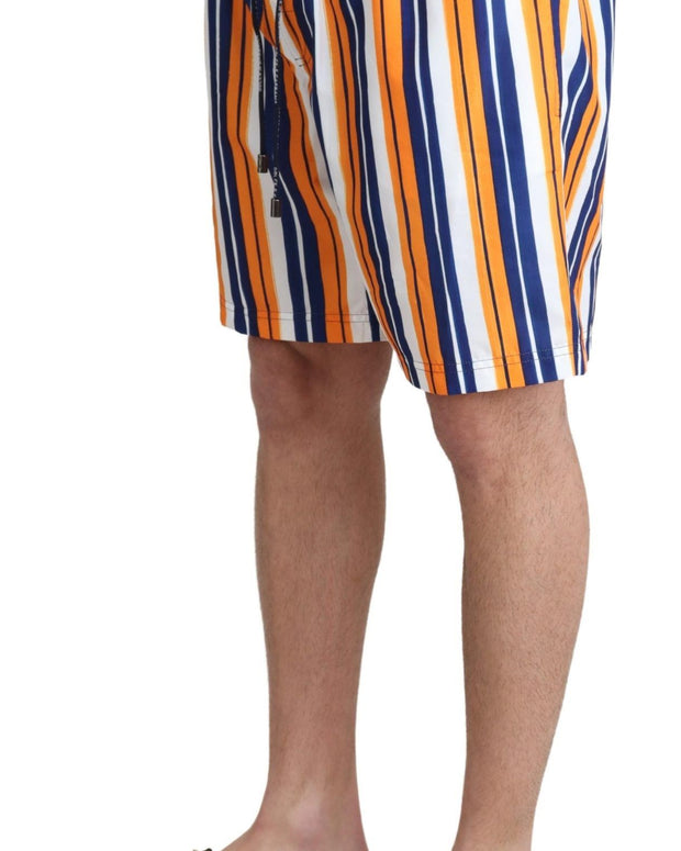 Multicolor Striped Beachwear Swimshorts