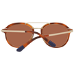 Brown Men Sunglasses