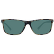 Brown Unisex Sunglasses