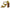 Yellow Leather Crystal Ayers Sandals Shoes