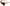 Orange Acetate Frame Round Shades DG4170PM Sunglasses