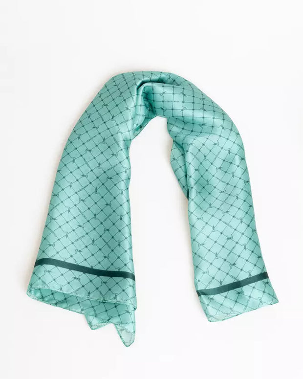 Light Blue Silk Women Scarf