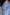 Light Blue Cotton Men Jeans