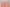 Pink Silk Stretch Strapless Sheath Dress