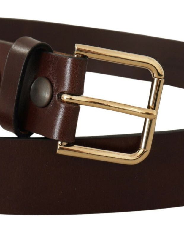 Brown Polished Leather Gold Tone Metal Buckle Belt
