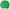 Green Calfskin Leather Round Logo Hand Mirror Holder