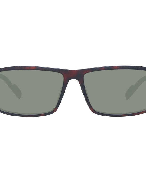 Brown Men Sunglasses