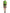 Apple Green Sleeveless Panelled Shift Dress