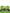 Apple Green Sleeveless Panelled Shift Dress