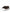 Brown Leopard Canvas Sneakers Shoes