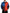 Multicolor Color Windbreaker Jacket