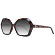 Brown Women Sunglasses