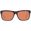 Brown Unisex Sunglasses