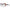 Multicolor Women Sunglass