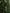 Green Banana Leaf Sleeveless Long Maxi Dress