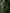 Green Banana Leaf Sleeveless Long Maxi Dress
