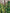 Green Banana Leaf Sleeveless Long Maxi Dress