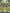 Multicolor Majolica Embroidered Sweater