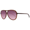 Brown Women Sunglasses