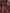 Maroon Exotic Leather Zip Biker Coat Jacket