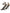 Brown Exotic Leather Crystal Sandals Shoes