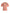 Coral Cotton Logo Print Short Sleeve T-shirt