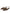 Brown Leopard Exotic Skin Slingback Shoes