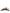 Brown Leopard Exotic Skin Slingback Shoes