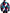 Multicolor Logo Windbreaker Puffer Jacket