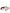 Dark Red Velvet Devotion Buckle Boots Shoes
