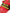 Red Black Logo Beachwear Flats Sandals Shoes