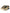 Gold Portofino Calf Leather Sneakers Women Shoes