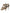 Bronze Crystal Strap Heels Sandals Shoes