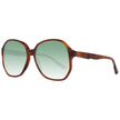 Brown Women Sunglass