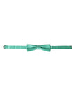 Mint Green Silk Adjustable Neck Men Bow Tie