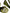 Green Exotic Leather Ankle Strap Heels Sandals Shoes