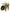 Yellow Exotic Leather Ankle Strap Heels Sandals Shoes