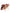Coral Exotic Leather Heels Sandals Shoes