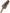 Brown Frost Fox Fur Neck Warmer Winter Scarf