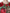 Brown Leopard Red Roses Cotton A-line Dress