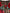 Brown Leopard Red Roses Cotton A-line Dress