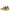Yellow Sorrento Crystals Low Top Sneakers Shoes