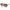 Brown Resin Sunglasses