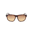 Brown Injected Sunglasses