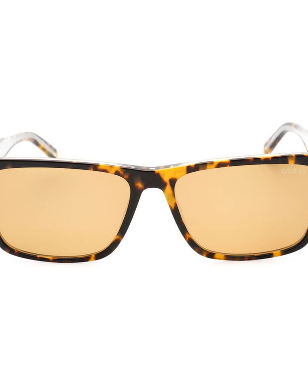 Brown Resin Sunglasses