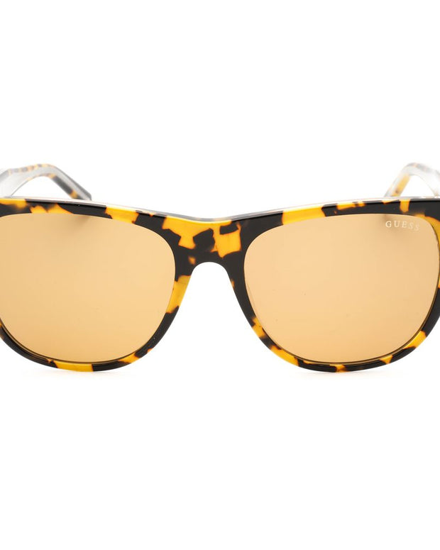 Brown Resin Sunglasses