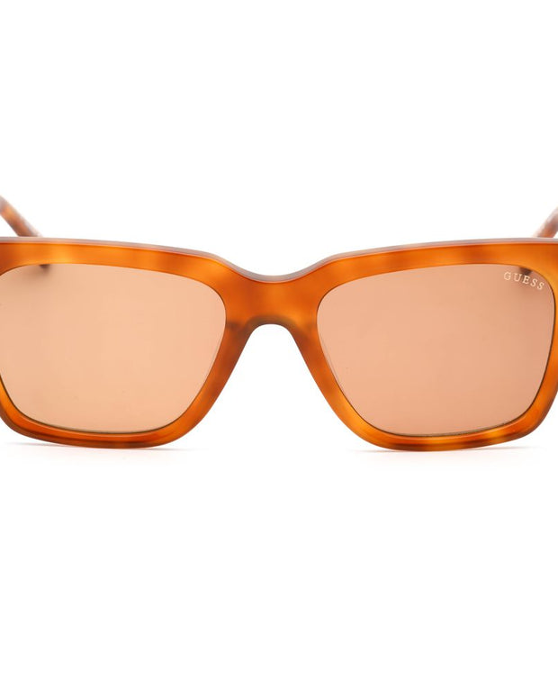 Brown Resin Sunglasses