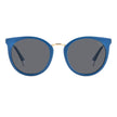 Blue Resin Sunglasses