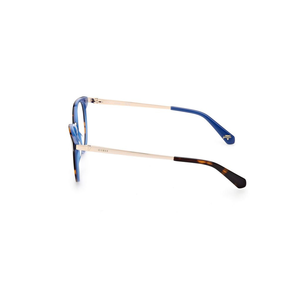 Blue Plastic Frames